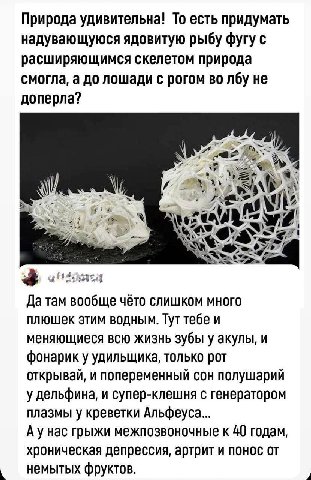 Природа удивительна! То есть придумать надувающуюся ядовитую рыбу фугу с расширяющимся скелетом природа смогла, а до лошади с рогом во лбу не доперла? a= я Да там вообще чёто слишком много плюшек этим