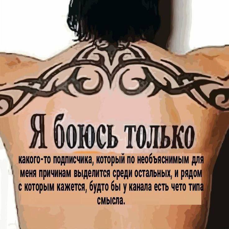 ТОЛЬКО подписчика, который по необъяснимым Меня причинам выделится среди остальных, и рядо с которым кажется, будто бы у канала есть чето THN Смысла,