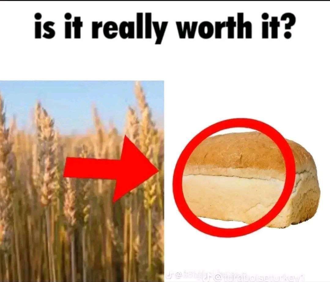 is it really worth it? 1 у