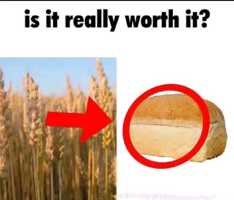 is it really worth it? 1 у