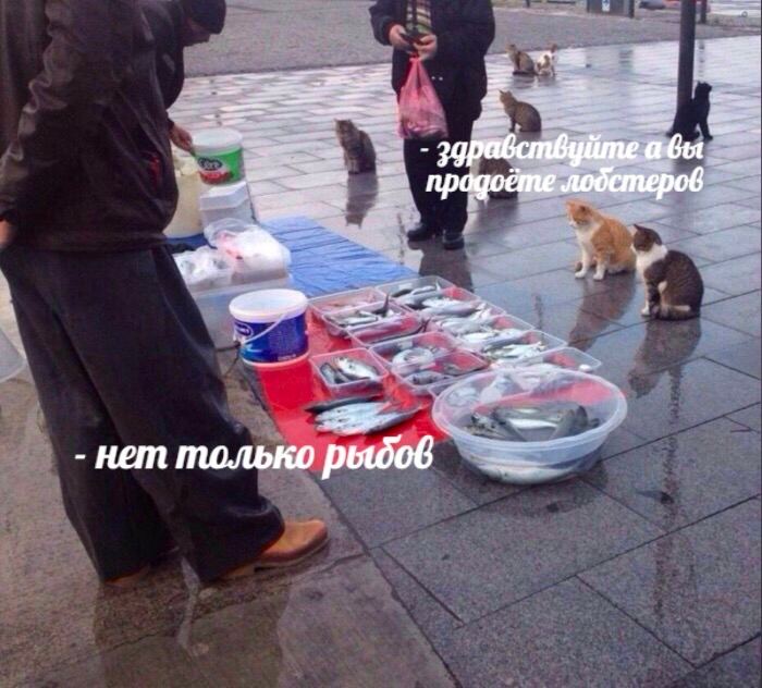 a здравствуйте абы npagoéme нет только рыбов