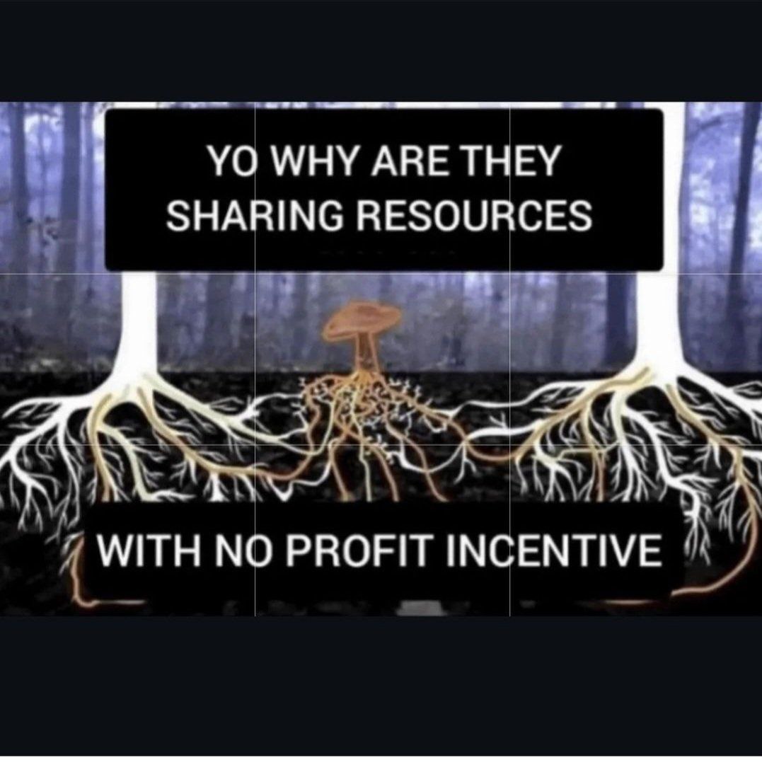 WHY ARE THEY SHARING RESOURCES WITH NO PROFIT INCENTIVE