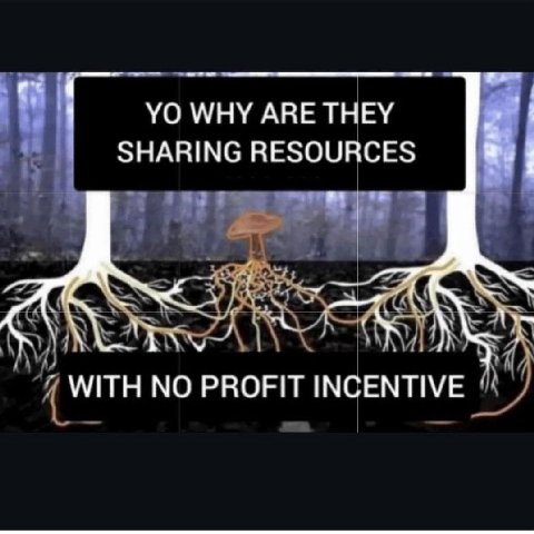 WHY ARE THEY SHARING RESOURCES WITH NO PROFIT INCENTIVE