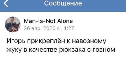 Сообщение Мап-1$-М№ от Alone 26 апр. 2020 4:27 Игорь прикреплен к навозному жуку в качестве рюкзака с говном