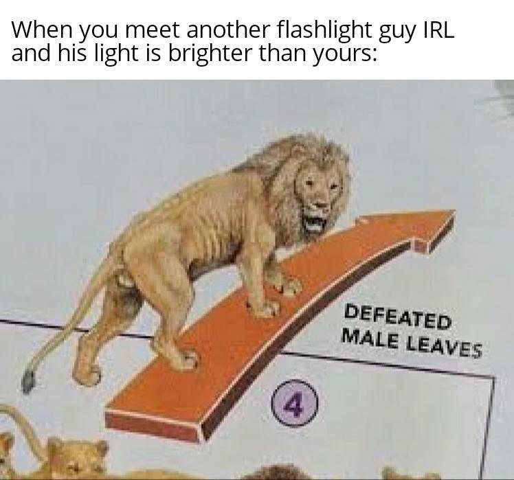 When you meet another flashlight guy IRL and his light is brighter than yours: yee “4 ГЕАТЕО ALE LEAVEs or
