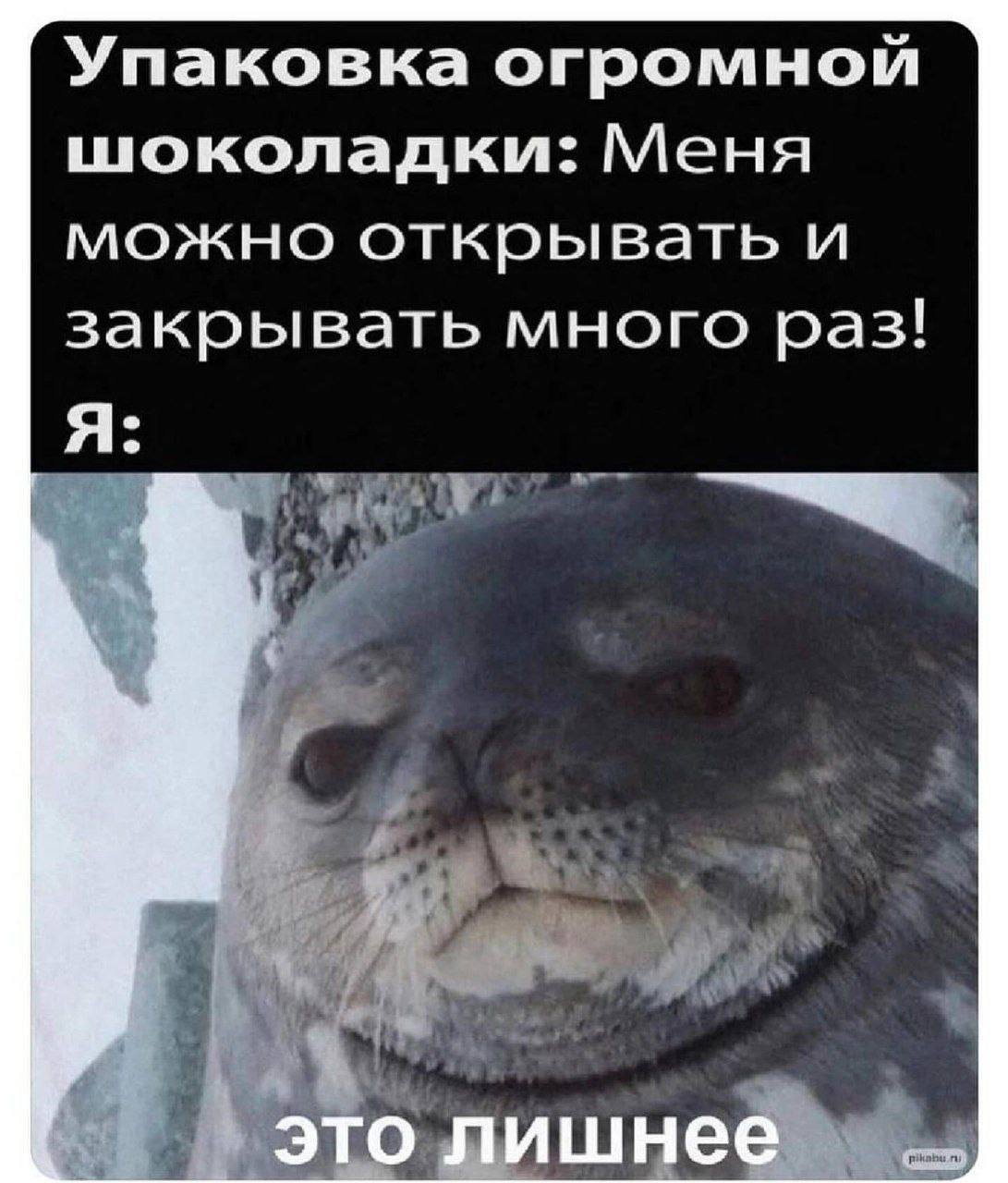Упаковка огромной шоколадки: Меня можно открывать и закрывать много раз! Я: это лишнее