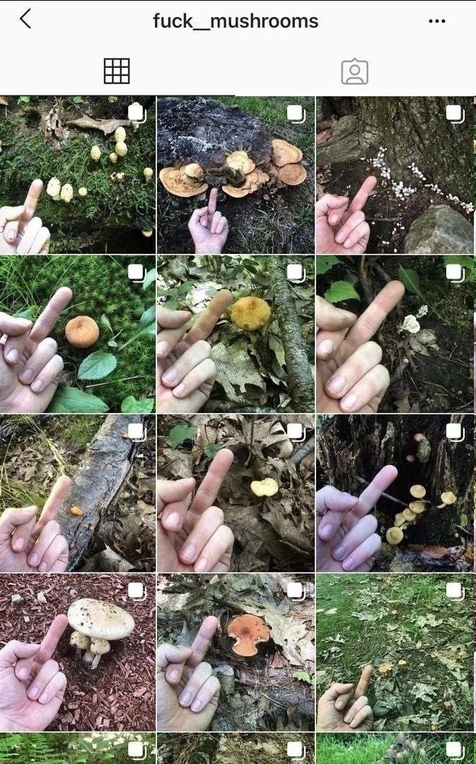 fuck_mushrooms 5 5 4. у 3 A 2 #4 $2 №9 7 8 i К 7 а и а у 2 a 2 у pak 4 at к