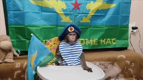 мем