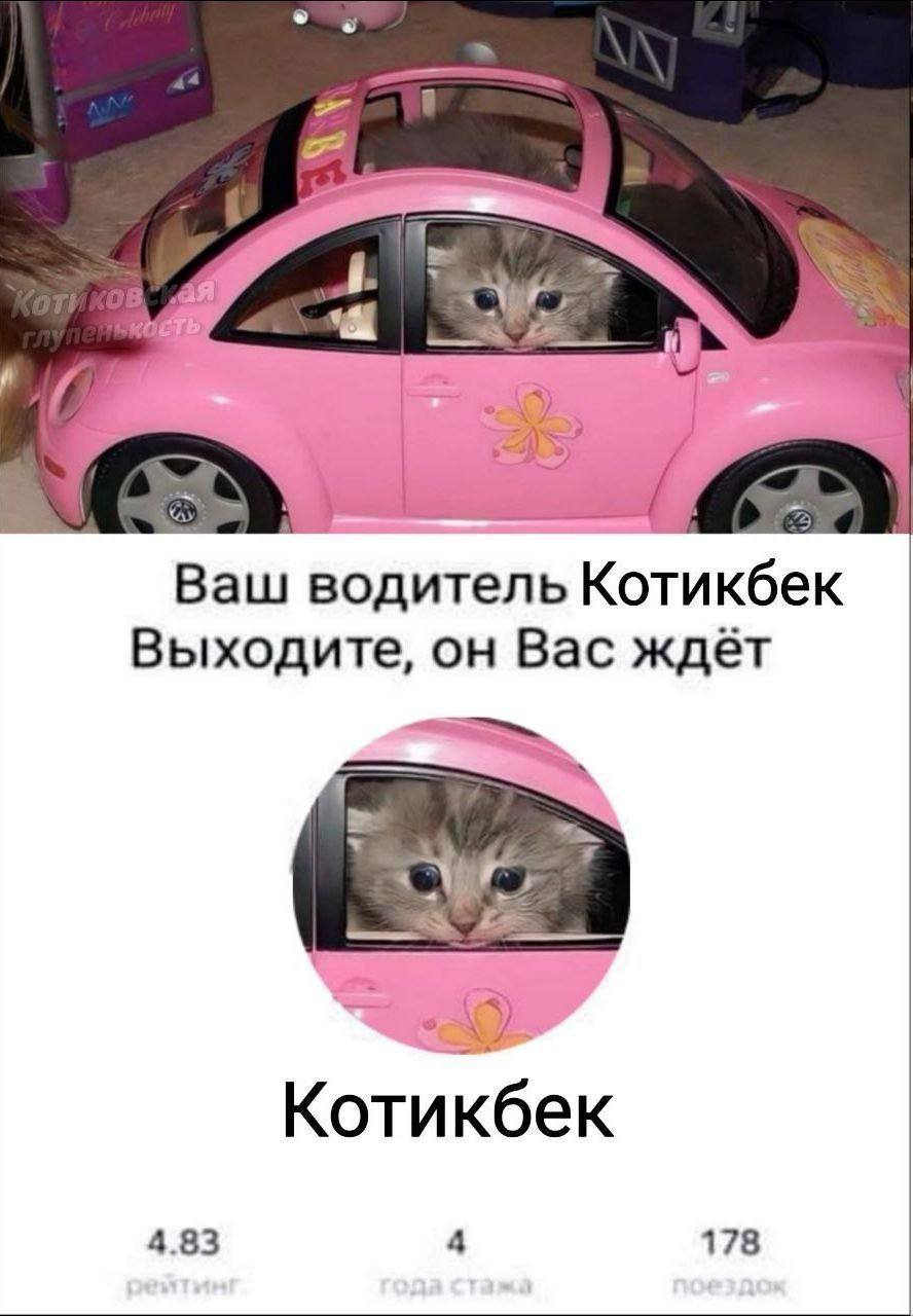 2 Ваш водитель Котикбек Выходите, он Вас ждет 7 Котикбек 4.83 4 178
