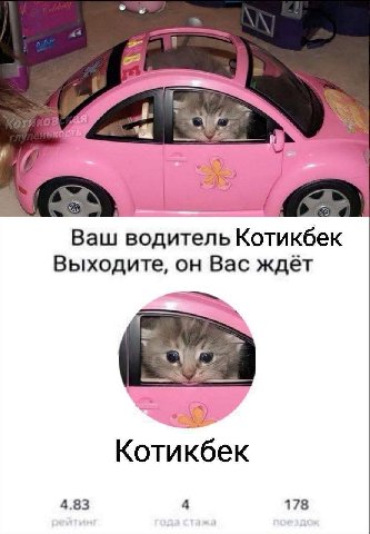 2 Ваш водитель Котикбек Выходите, он Вас ждет 7 Котикбек 4.83 4 178