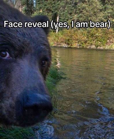Face reveal (yes, bear)