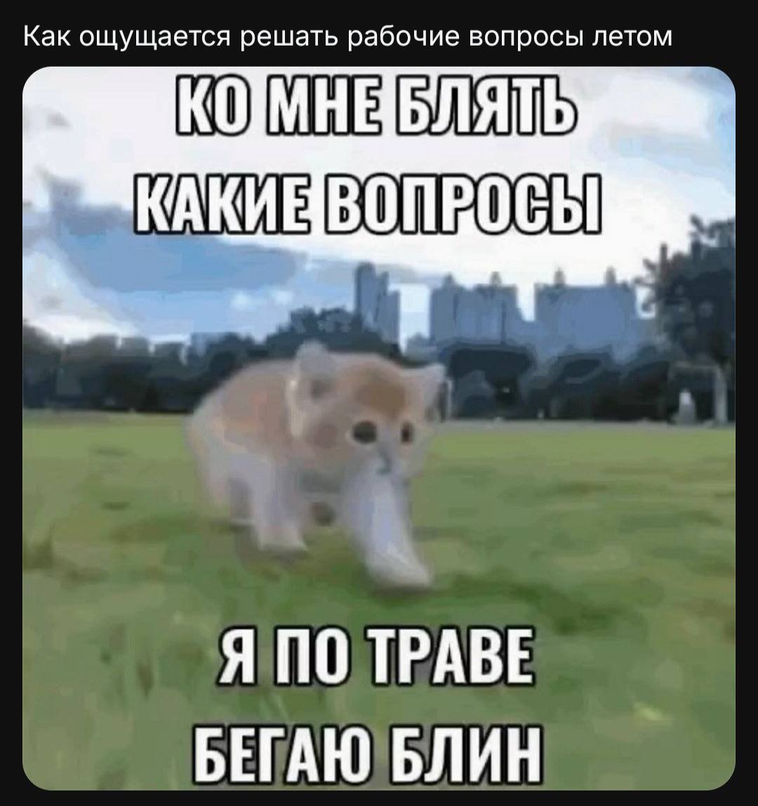 Как ощущае я решать рабоч КАКИЕ Я ПО TPABE БЕГАЮ БЛИН