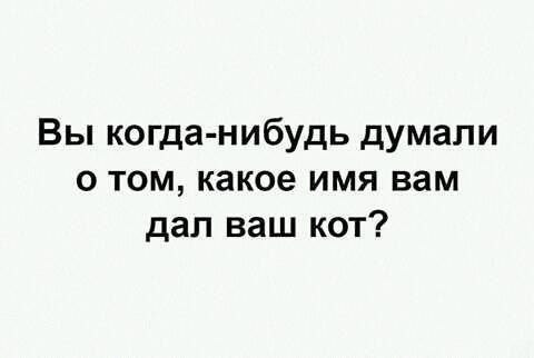Вы когда-нибудь думали о том, какое имя вам дал ваш кот?