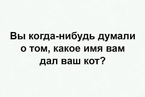 Вы когда-нибудь думали о том, какое имя вам дал ваш кот?