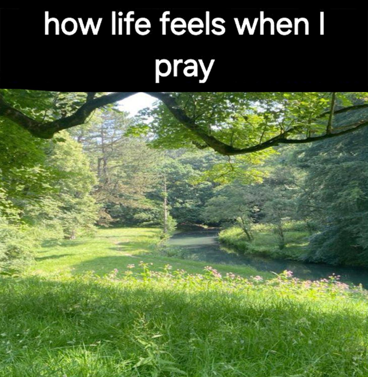 how life feels when я