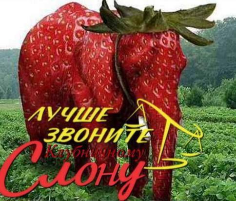 OF ЗВОНИ LID