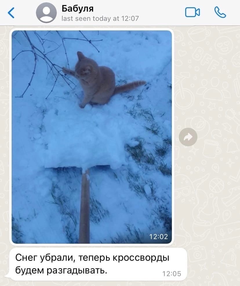 Бабуля last seen today at 12:07 Снег убрали, теперь кроссворды будем разгадывать. 12:05