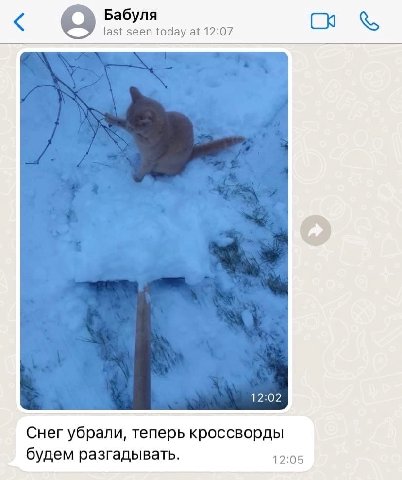 Бабуля last seen today at 12:07 Снег убрали, теперь кроссворды будем разгадывать. 12:05