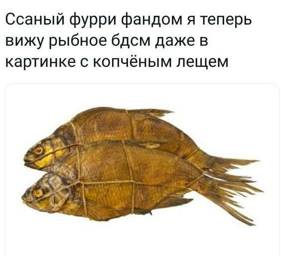 Ссаный фурри фандом я теперь вижу рыбное бдсм даже в картинке с копчёным лещем