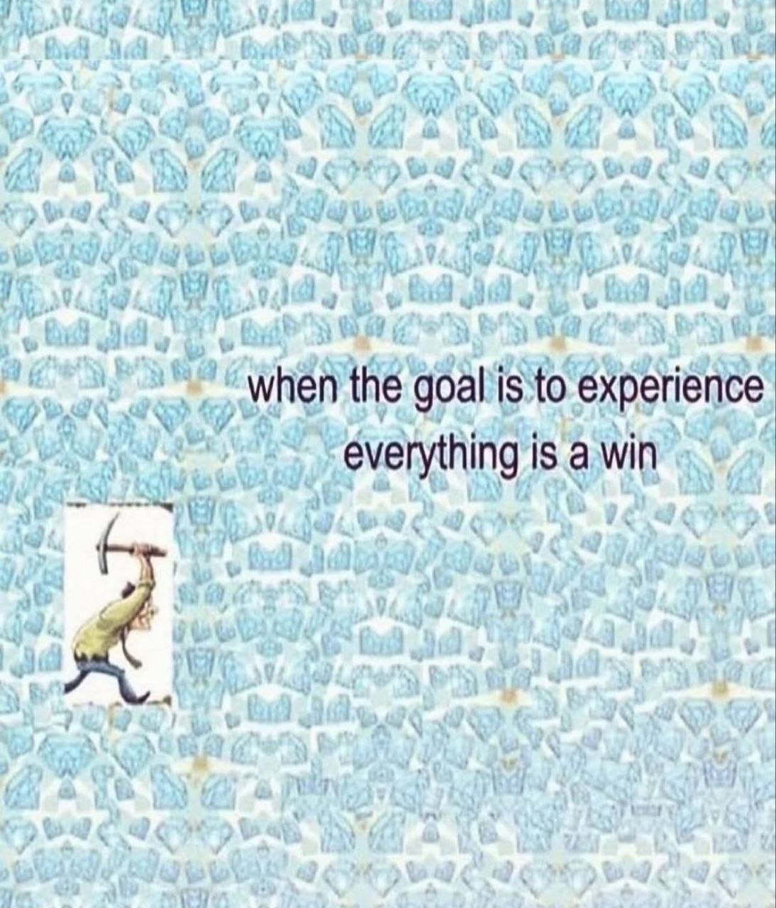 vad hen experience у ees