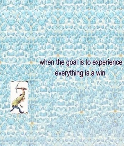 vad hen experience у ees