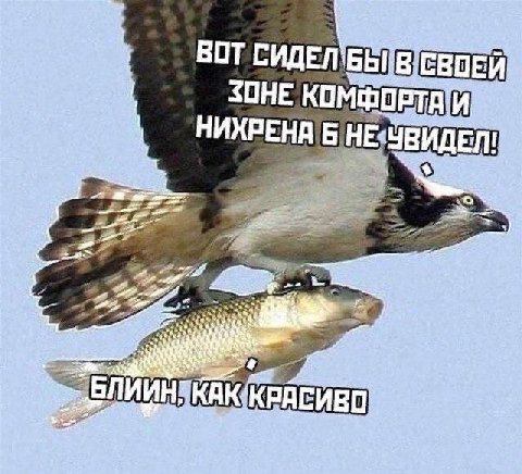 we A. ВОТ СИДЕЛ БЫ СВОЕЙ a ЗОНЕ КОМФ a ОРТА НИХРЕНА Б ДЕЛ! о я 7 a, at tag fal ran if at 74 rig ЛИИН ral KAK: КРАСИ oN 4 3 7% aft