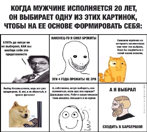 КОГДА МУЖЧИНЕ ИСПОЛНЯЕТСЯ 20 ЛЕТ, ОН ВЫБИРАЕТ ОДНУ ИЗ ЭТИХ КАРТИНОК, ЧТОБЫ НА ЕЕ ОСНОВЕ ФОРМИРОВАТЬ СЕБЯ: НАКОНЕЦ-ТО Я СНЯЛ БРЭКИТЫ Смешная картинка из БЛЯТЬ да нихуя он интернета посоветовала не выби