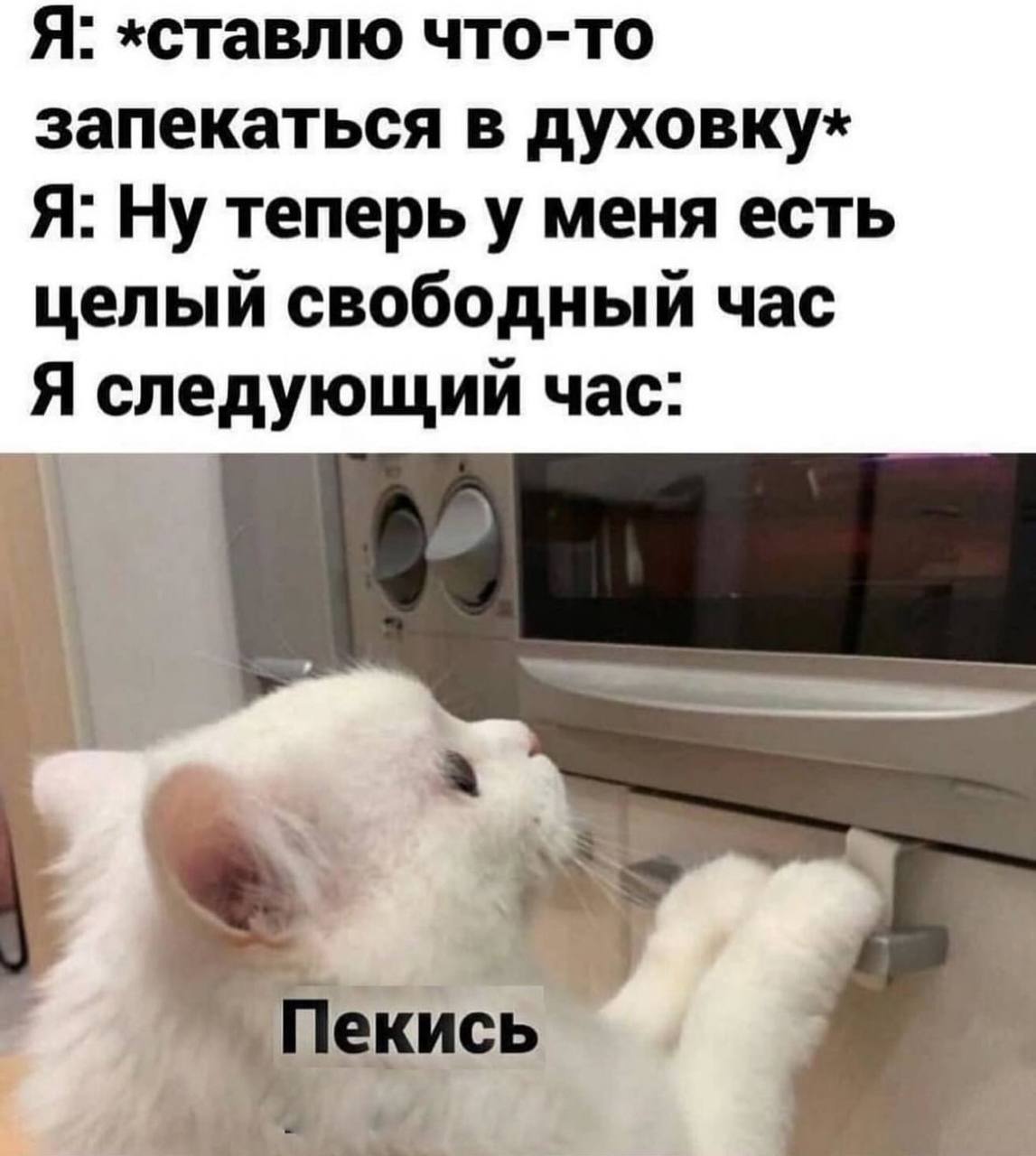 Я: «ставлю что-то запекаться в духовку* Я: Ну теперь у меня есть целый свободный час Я следующий час: екись