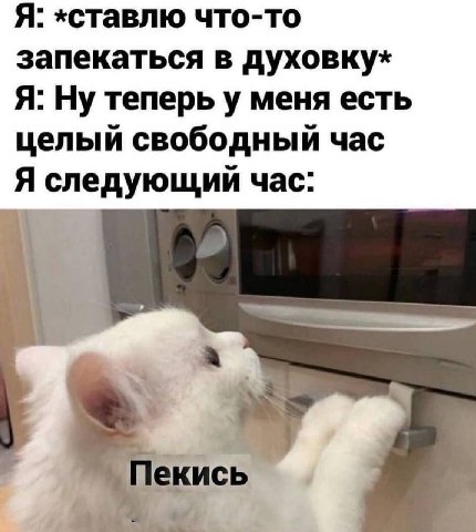 Я: «ставлю что-то запекаться в духовку* Я: Ну теперь у меня есть целый свободный час Я следующий час: екись