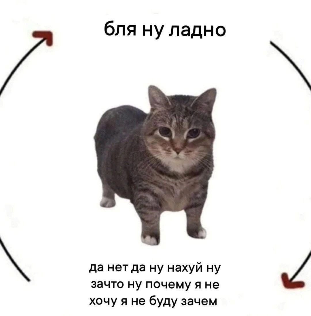 бля ну ладно да нет да ну нахуй ну зачто ну почему я не хочу я не буду зачем