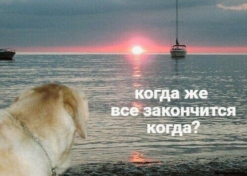 же всё закончится когда?