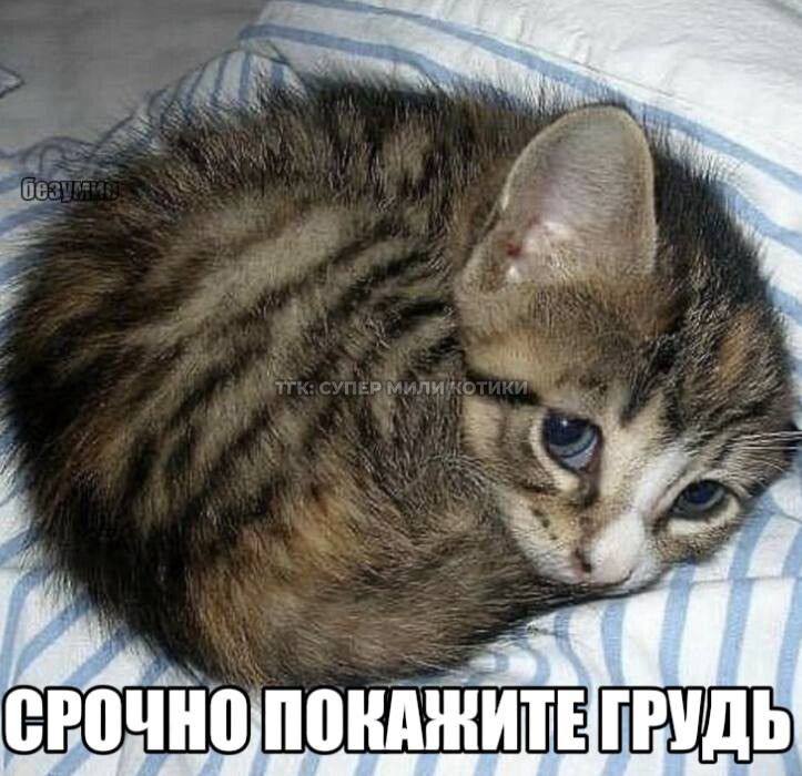 РУДЬ