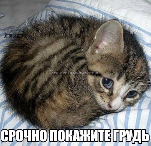 РУДЬ