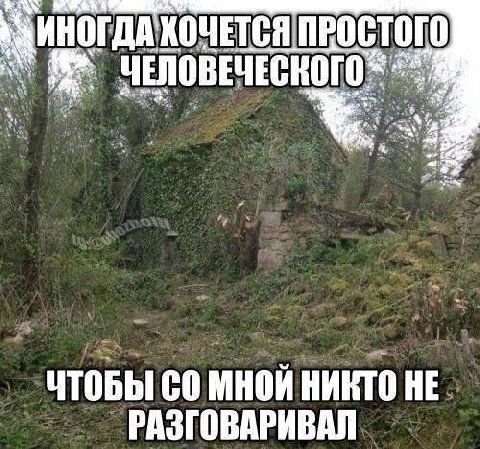 утро: