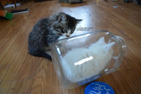 КАКАЯ ДЕПРЕССИЯ ВЫЛЕЗАЙ ДАВАЙ wee 42 $7 if