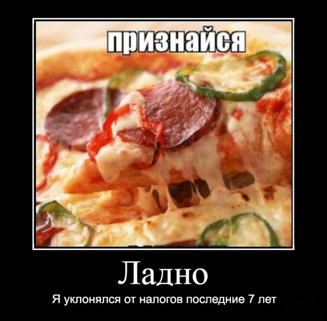 признайся Ладно Я уклонялся от налогов последние 7 лет