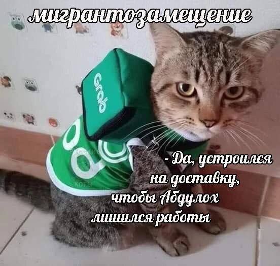 4 устроился, на доставку, лишился