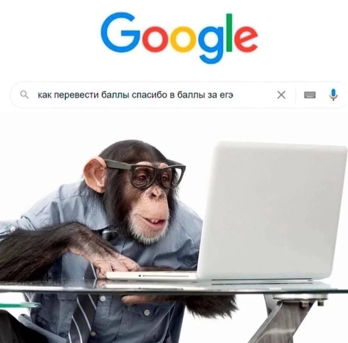 Google как перевести баллы спасибо в баллы за егэ 0 4)