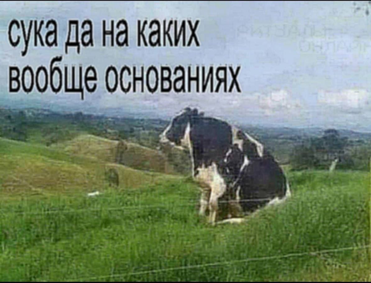 сука да на каких вообще основаниях