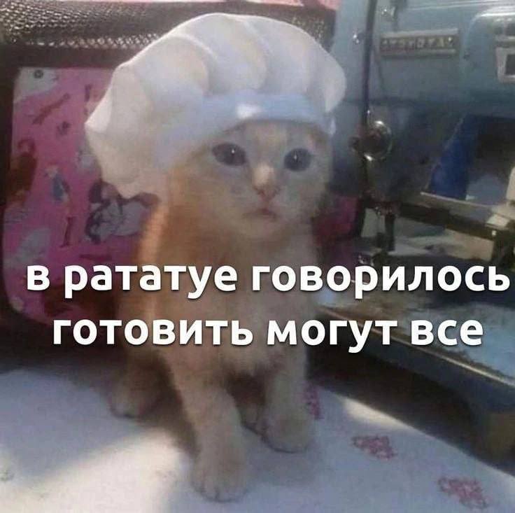 В рататуе говорилось готовить могут все