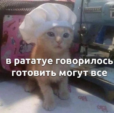 В рататуе говорилось готовить могут все