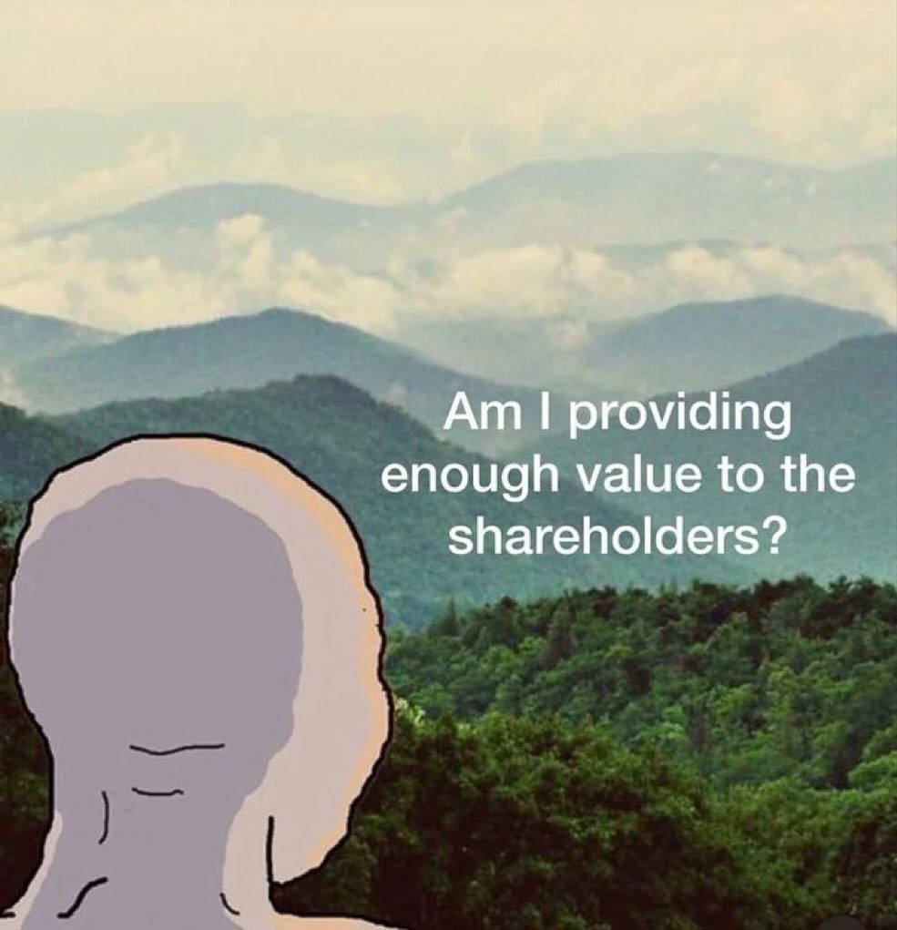 providing enough value to the shareholders?