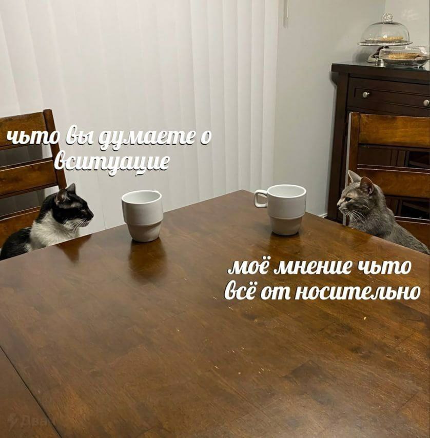 у чьто вы думаете о мое мнение чьто Gcé от носительно