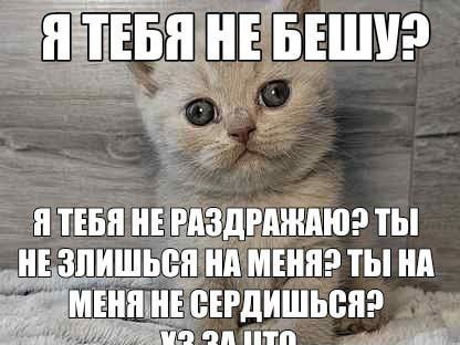 Я-ТЕБЯ НЕ Я ТЕБЯ НЕРАЗДРАЖАЮ? ТЫ HE. ЗЛИШЬСЯ НА MEHA? ТЫ НА "МЕНЯ: HE СЕРДИШЬСЯ? OR LTH