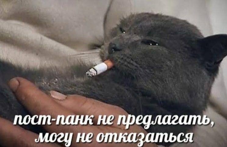 пост-панк не предлагать, могу не отказаться