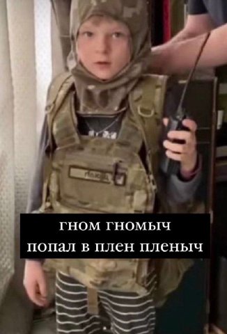4“ ГНОМ ГНОМЫЧ попал в плен пленыч