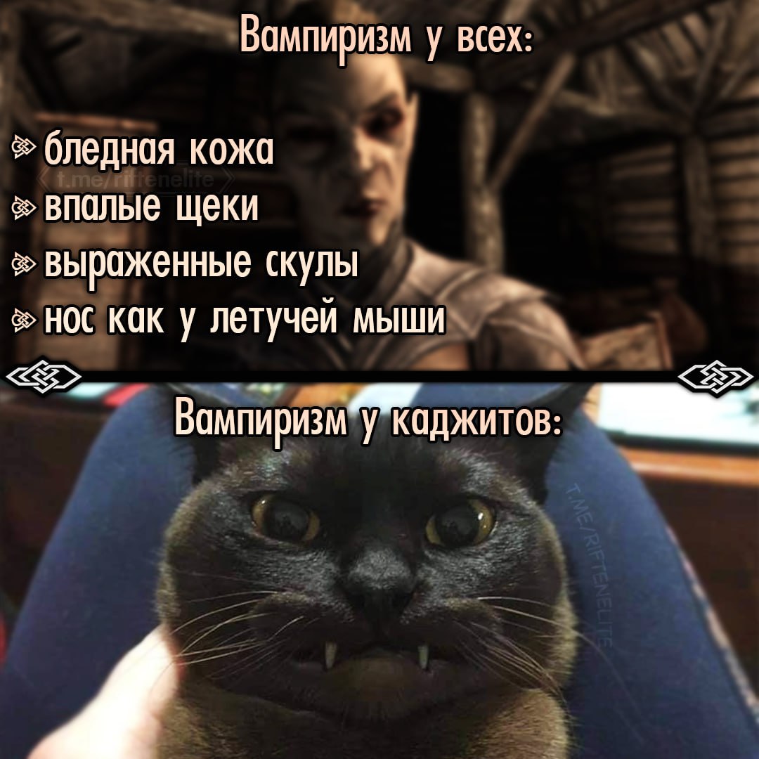 Вампиризм у всех: бледная кожа впалые щеки выроженные скулы НОС KOK летучей мыши Вампиризм