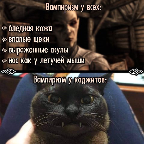 Вампиризм у всех: бледная кожа впалые щеки выроженные скулы НОС KOK летучей мыши Вампиризм