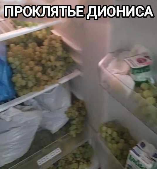 ПРОКЛЯТЬЕ ДИОНИСА