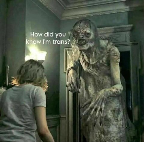 How did you know trans?